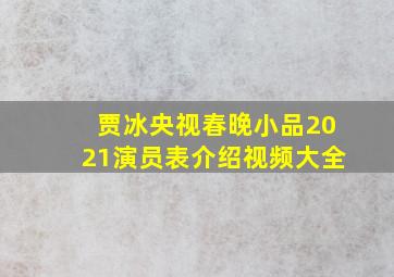 贾冰央视春晚小品2021演员表介绍视频大全