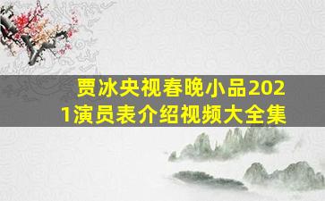 贾冰央视春晚小品2021演员表介绍视频大全集