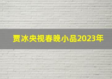 贾冰央视春晚小品2023年