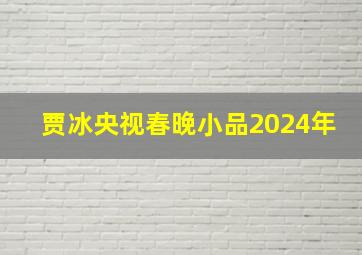 贾冰央视春晚小品2024年