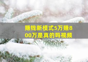 赚钱新模式5万赚800万是真的吗视频