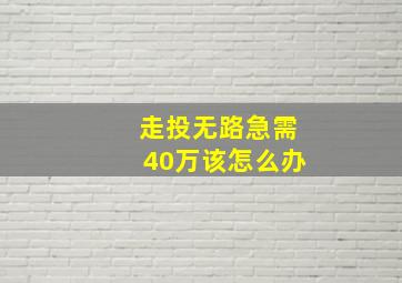 走投无路急需40万该怎么办