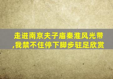 走进南京夫子庙秦淮风光带,我禁不住停下脚步驻足欣赏