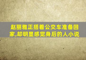 赵丽雅正搭着公交车准备回家,却明显感觉身后的人小说