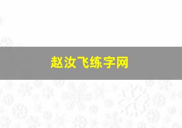 赵汝飞练字网