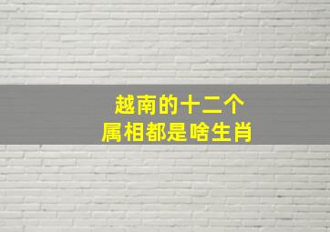 越南的十二个属相都是啥生肖