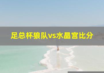 足总杯狼队vs水晶宫比分