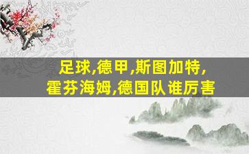 足球,德甲,斯图加特,霍芬海姆,德国队谁厉害