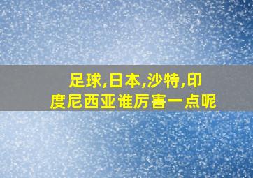 足球,日本,沙特,印度尼西亚谁厉害一点呢