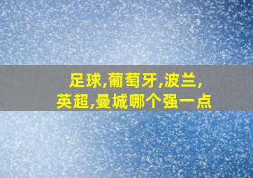 足球,葡萄牙,波兰,英超,曼城哪个强一点