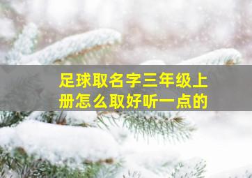 足球取名字三年级上册怎么取好听一点的