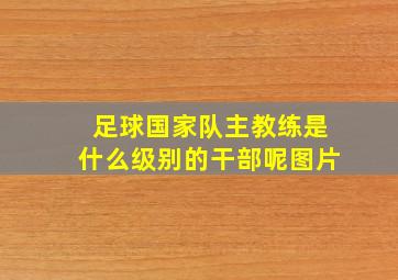 足球国家队主教练是什么级别的干部呢图片