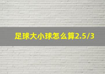 足球大小球怎么算2.5/3