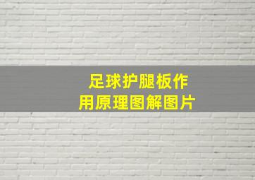 足球护腿板作用原理图解图片