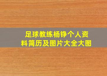 足球教练杨铮个人资料简历及图片大全大图