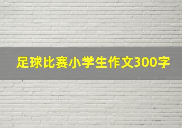 足球比赛小学生作文300字