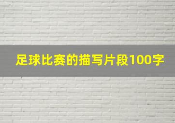 足球比赛的描写片段100字