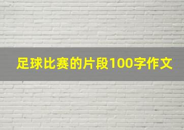 足球比赛的片段100字作文