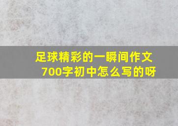 足球精彩的一瞬间作文700字初中怎么写的呀