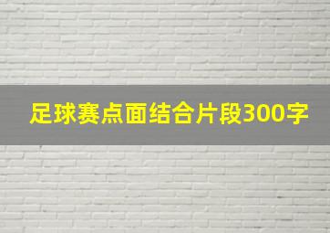 足球赛点面结合片段300字