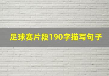 足球赛片段190字描写句子