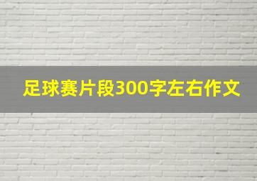 足球赛片段300字左右作文