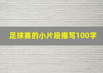 足球赛的小片段描写100字