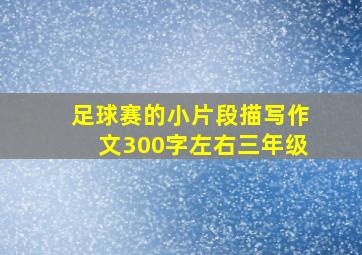 足球赛的小片段描写作文300字左右三年级