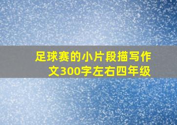 足球赛的小片段描写作文300字左右四年级