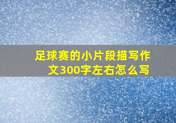 足球赛的小片段描写作文300字左右怎么写