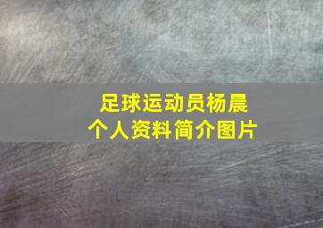 足球运动员杨晨个人资料简介图片