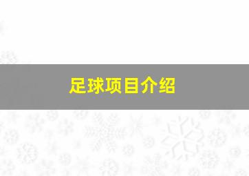 足球项目介绍