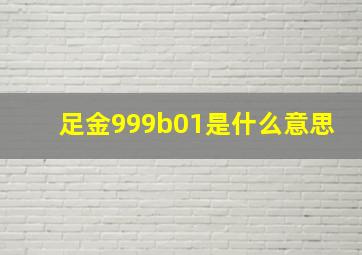 足金999b01是什么意思