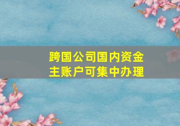 跨国公司国内资金主账户可集中办理