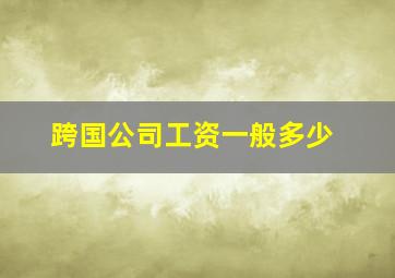 跨国公司工资一般多少