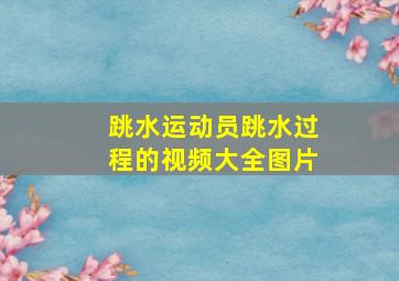 跳水运动员跳水过程的视频大全图片