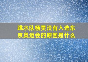 跳水队杨昊没有入选东京奥运会的原因是什么