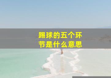 踢球的五个环节是什么意思