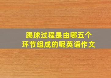 踢球过程是由哪五个环节组成的呢英语作文