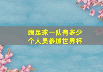 踢足球一队有多少个人员参加世界杯