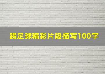 踢足球精彩片段描写100字