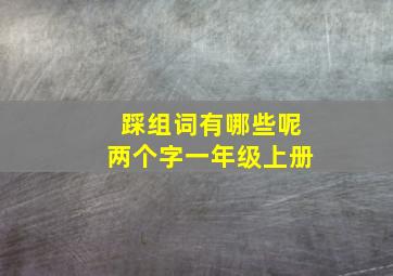 踩组词有哪些呢两个字一年级上册