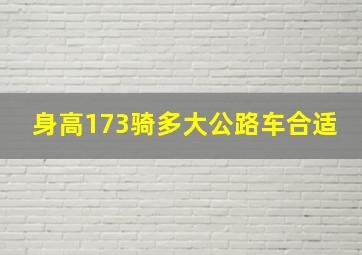 身高173骑多大公路车合适