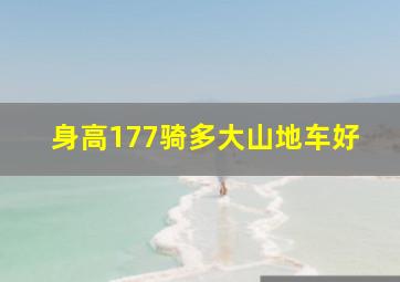 身高177骑多大山地车好