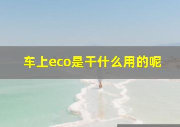 车上eco是干什么用的呢