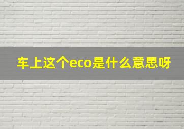 车上这个eco是什么意思呀