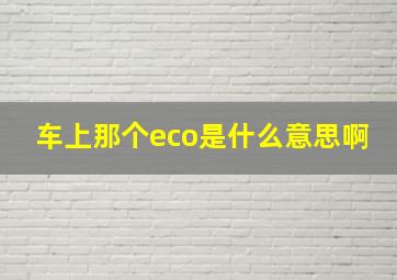 车上那个eco是什么意思啊