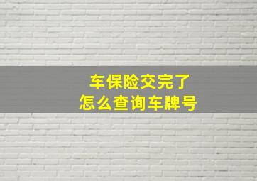 车保险交完了怎么查询车牌号