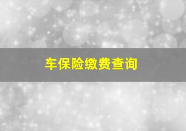 车保险缴费查询