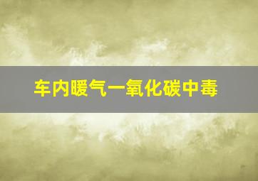 车内暖气一氧化碳中毒